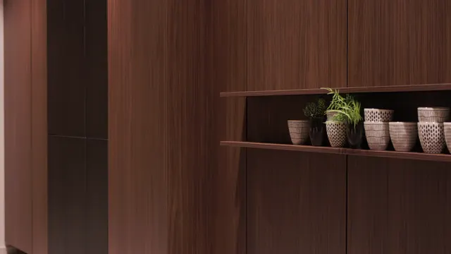 STRUCTURA — kresba ořechu